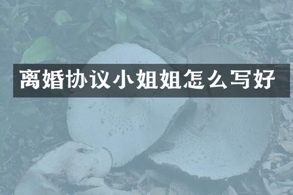 离婚协议姐怎么写好