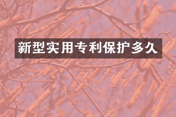 新型实用专利保护多久