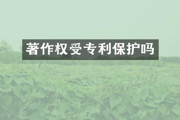 著作权受专利保护吗