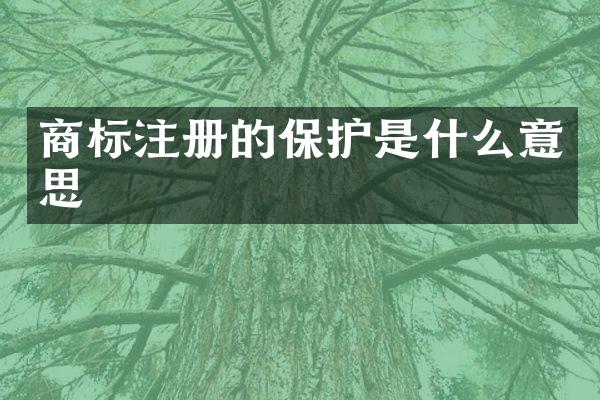 商标注册的保护是什么意思