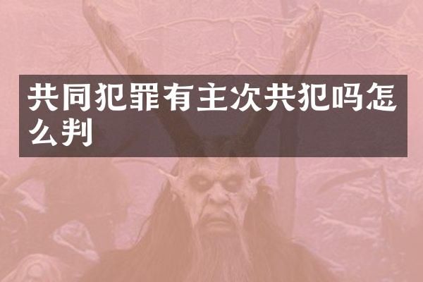 共同犯罪有主次共犯吗怎么判