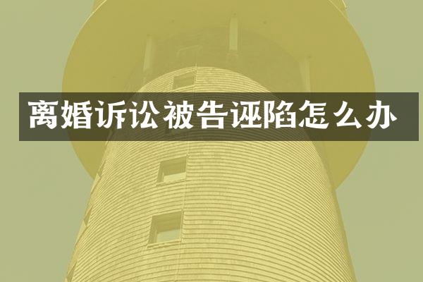 离婚诉讼被告诬陷怎么办