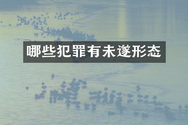 哪些犯罪有未遂形态