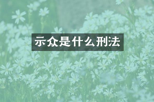 示众是什么刑法