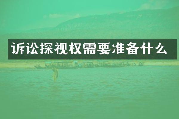 诉讼探视权需要准备什么