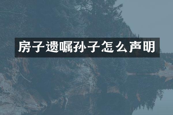 房子遗嘱孙子怎么声明