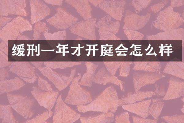 缓刑一年才开庭会怎么样