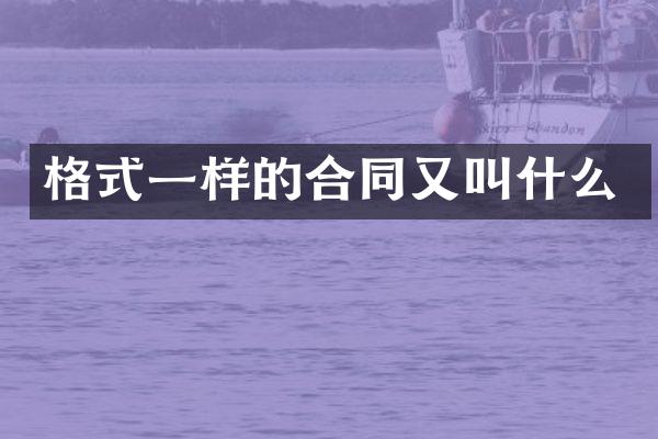 格式一样的合同又叫什么