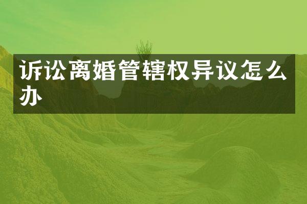 诉讼离婚管辖权异议怎么办