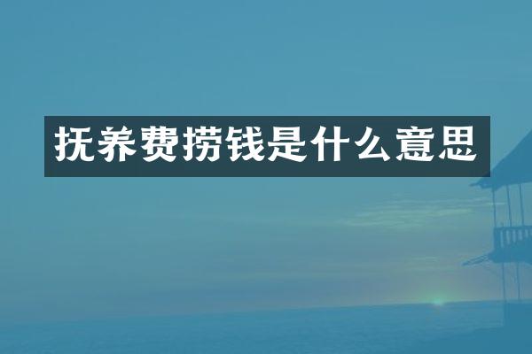 抚养费捞钱是什么意思