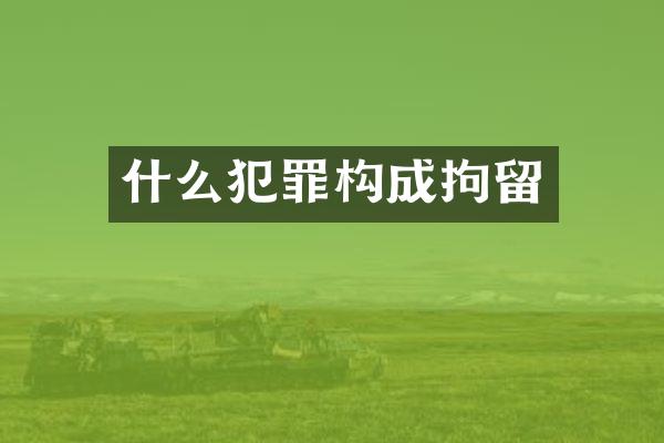 什么犯罪构成拘留