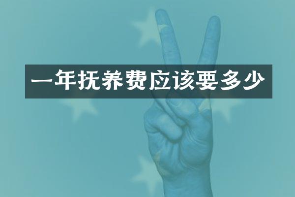 一年抚养费应该要多少