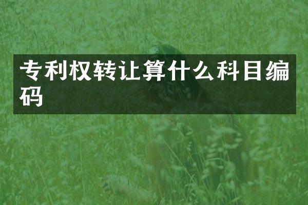 专利权转让算什么科目编码