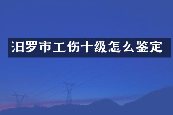 汨罗市工伤十级怎么鉴定