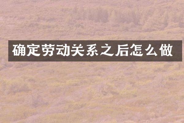 确定劳动关系之后怎么做