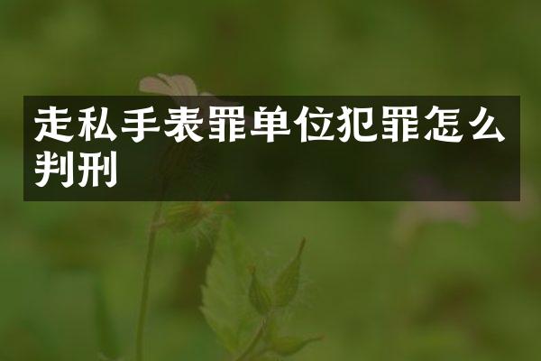 手表罪单位犯罪怎么判刑