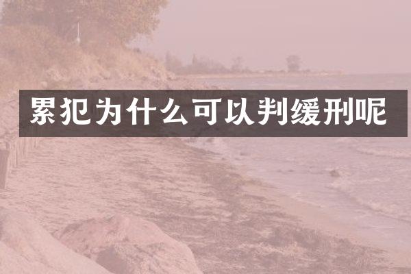为什么可以判缓刑呢