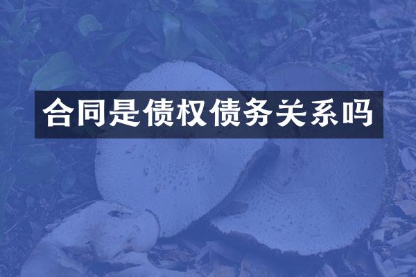 合同是债权债务关系吗