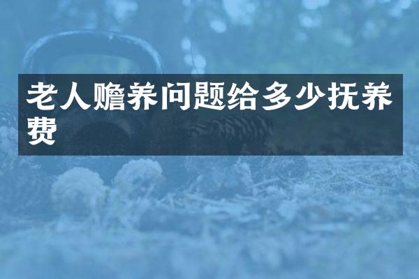 老人赡养问题给多少抚养费