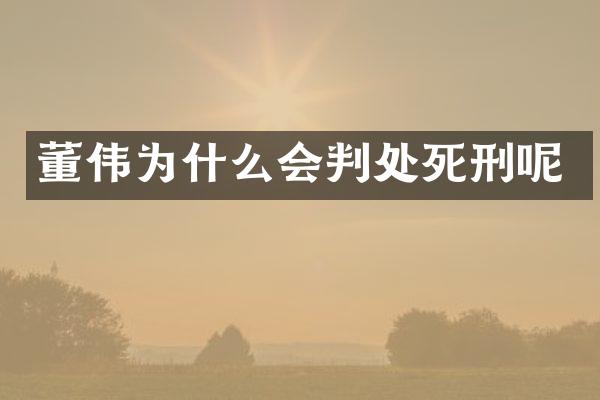 董伟为什么会判处死刑呢