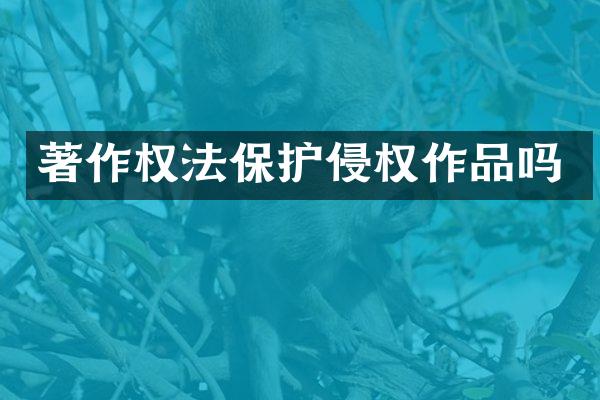 著作权法保护侵权作品吗