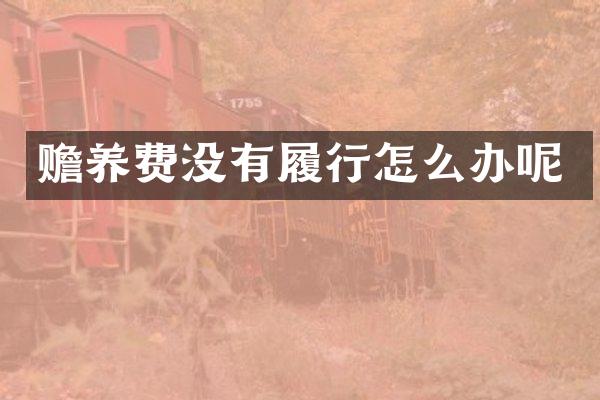 赡养费没有履行怎么办呢
