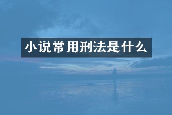 小说常用刑法是什么