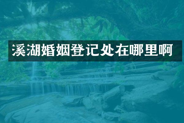 溪湖婚姻登记处在哪里啊