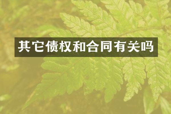 其它债权和合同有关吗