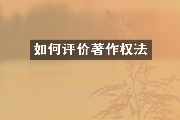 如何评价著作权法