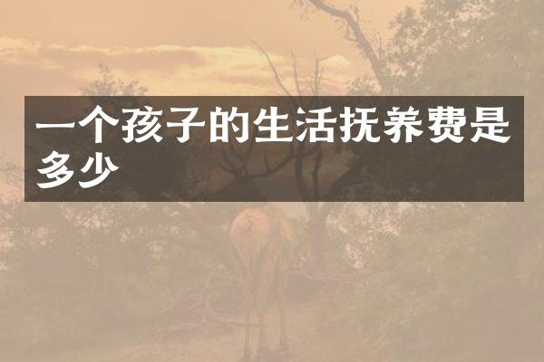 一个孩子的生活抚养费是多少