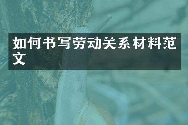 如何书写劳动关系材料范文