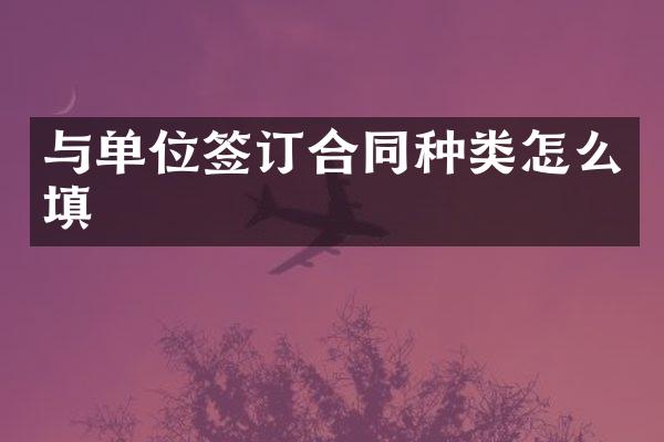 与单位签订合同种类怎么填