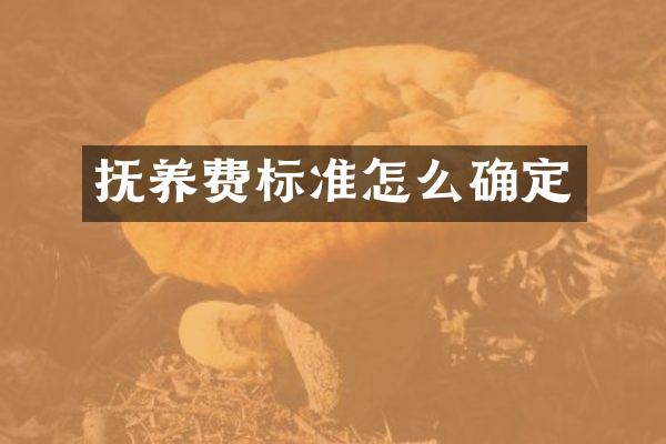 抚养费标准怎么确定