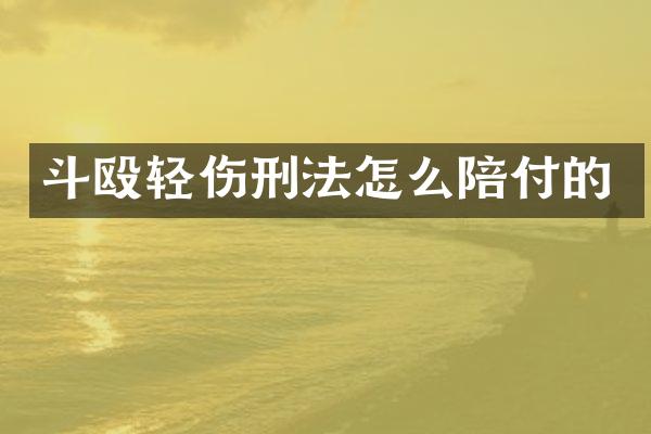 斗殴轻伤刑法怎么陪付的