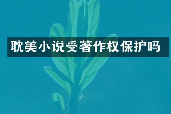 小说受著作权保护吗