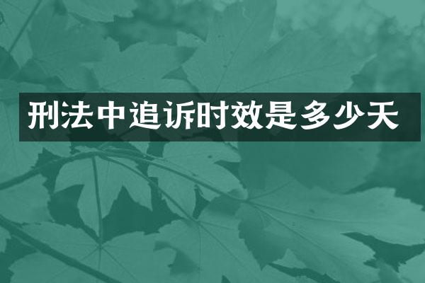 刑法中追诉时效是多少天