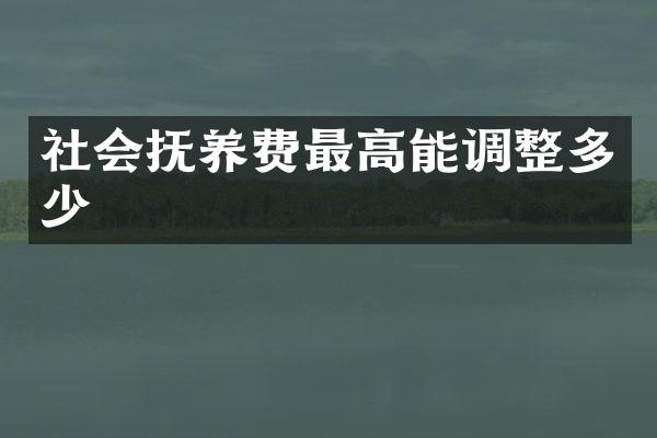 社会抚养费最高能调整多少
