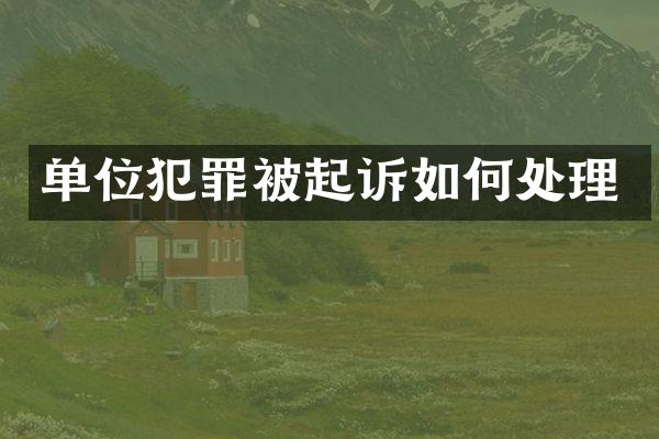 单位犯罪被起诉如何处理