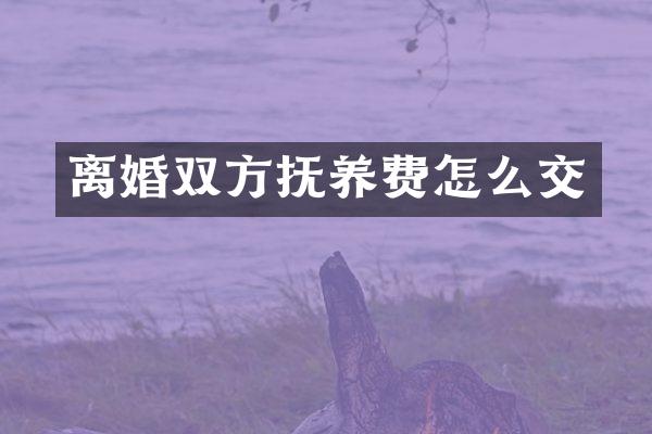 离婚双方抚养费怎么交
