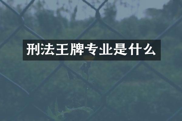 刑法王牌专业是什么