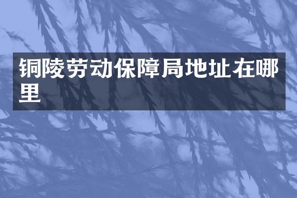 铜陵劳动保障局地址在哪里