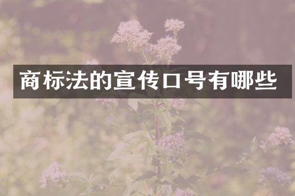 商标法的宣传口号有哪些