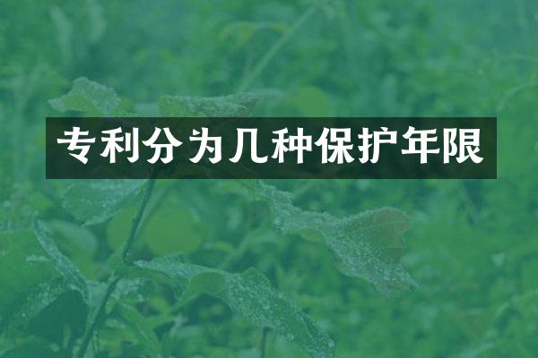 专利分为几种保护年限