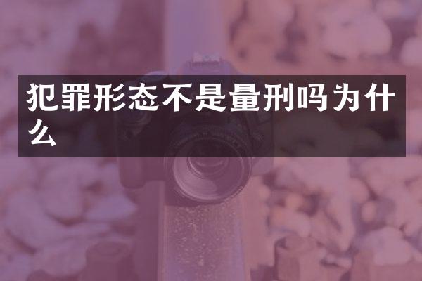 犯罪形态不是量刑吗为什么