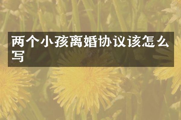 两个小孩离婚协议该怎么写