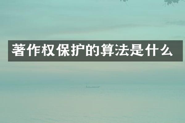 著作权保护的算法是什么