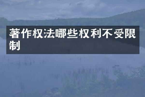 著作权法哪些权利不受限制