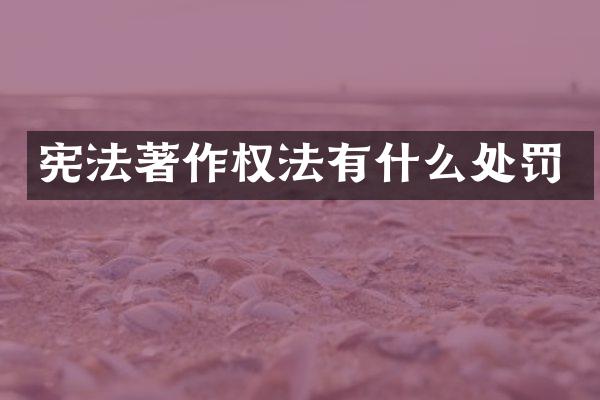 宪法著作权法有什么处罚