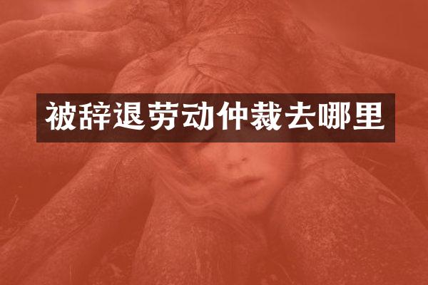 被辞退劳动仲裁去哪里